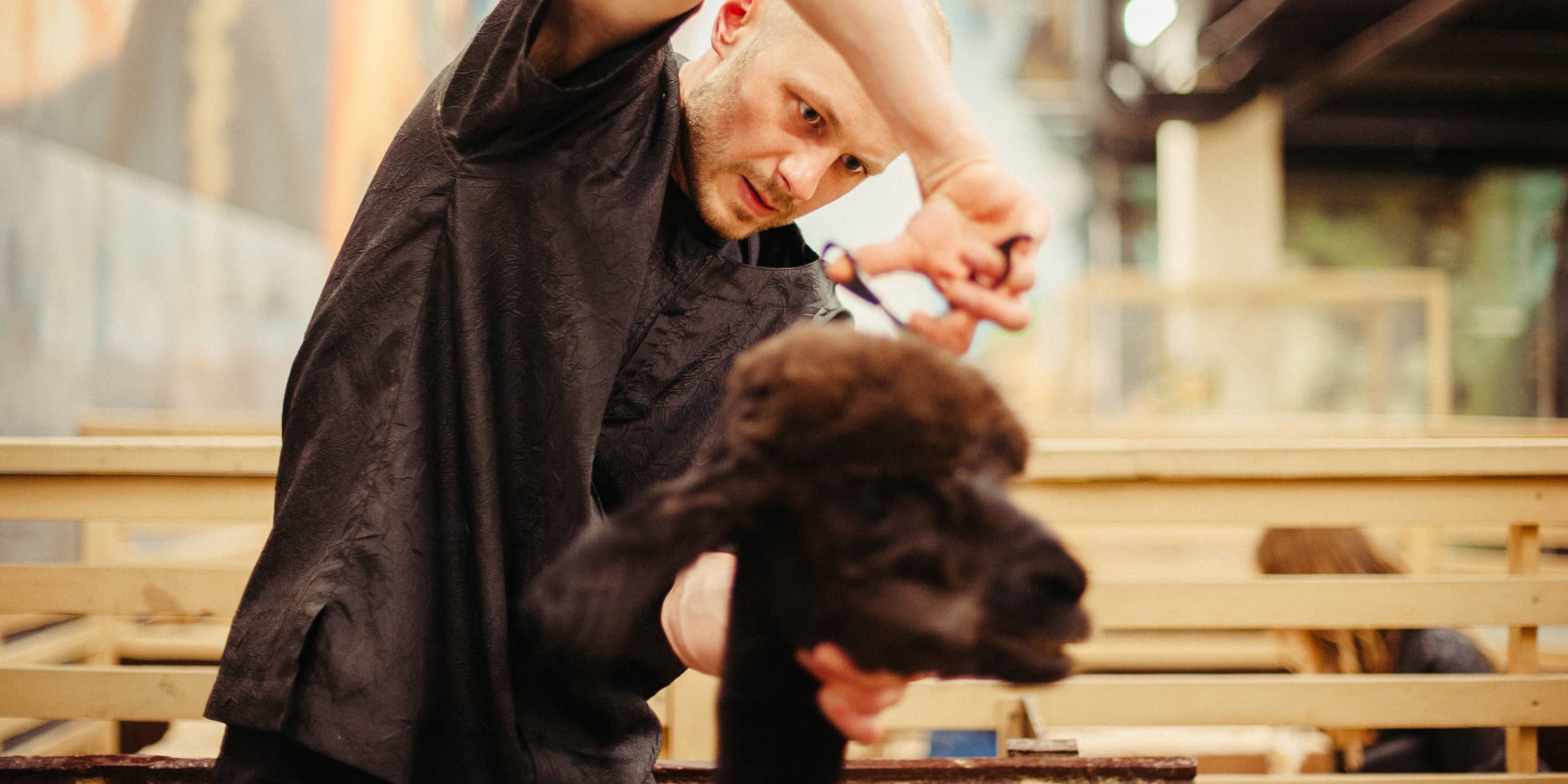 7-dog-grooming-business-ideas-to-improve-customer-service